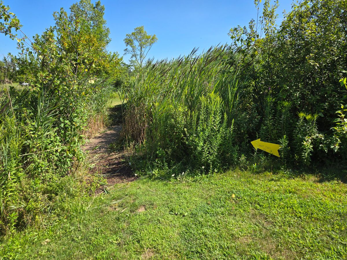 Path to 18
