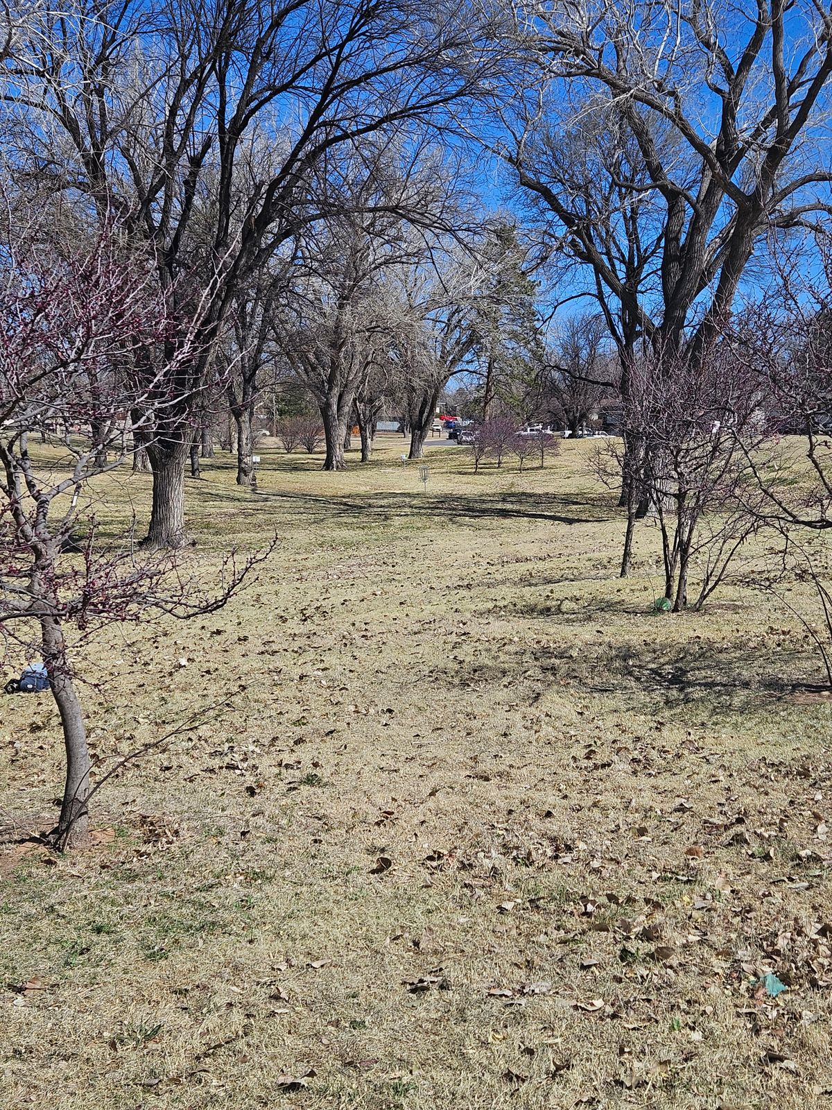 #1 fairway