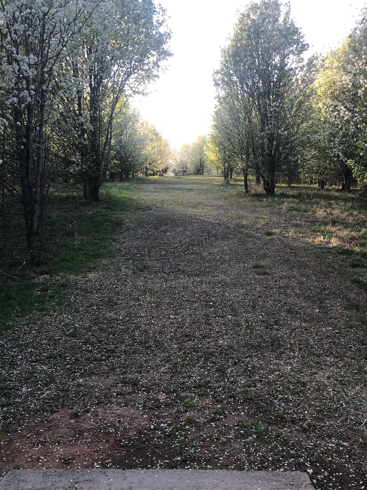 Hole 20
