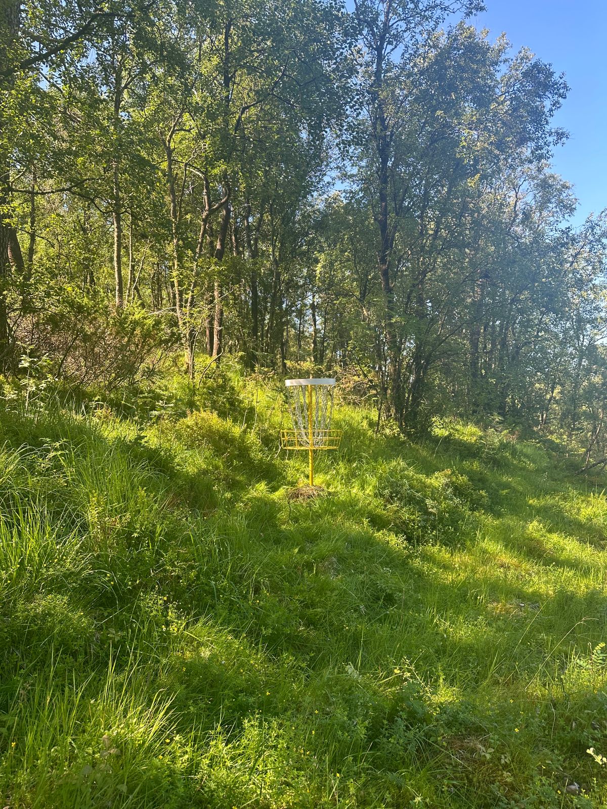 White basket Hole 18