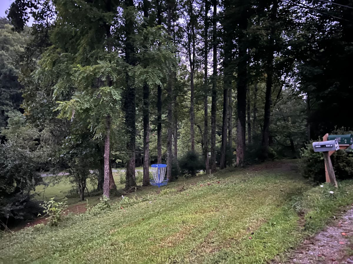 Hole 10 basket. Looking back down the fairway.
