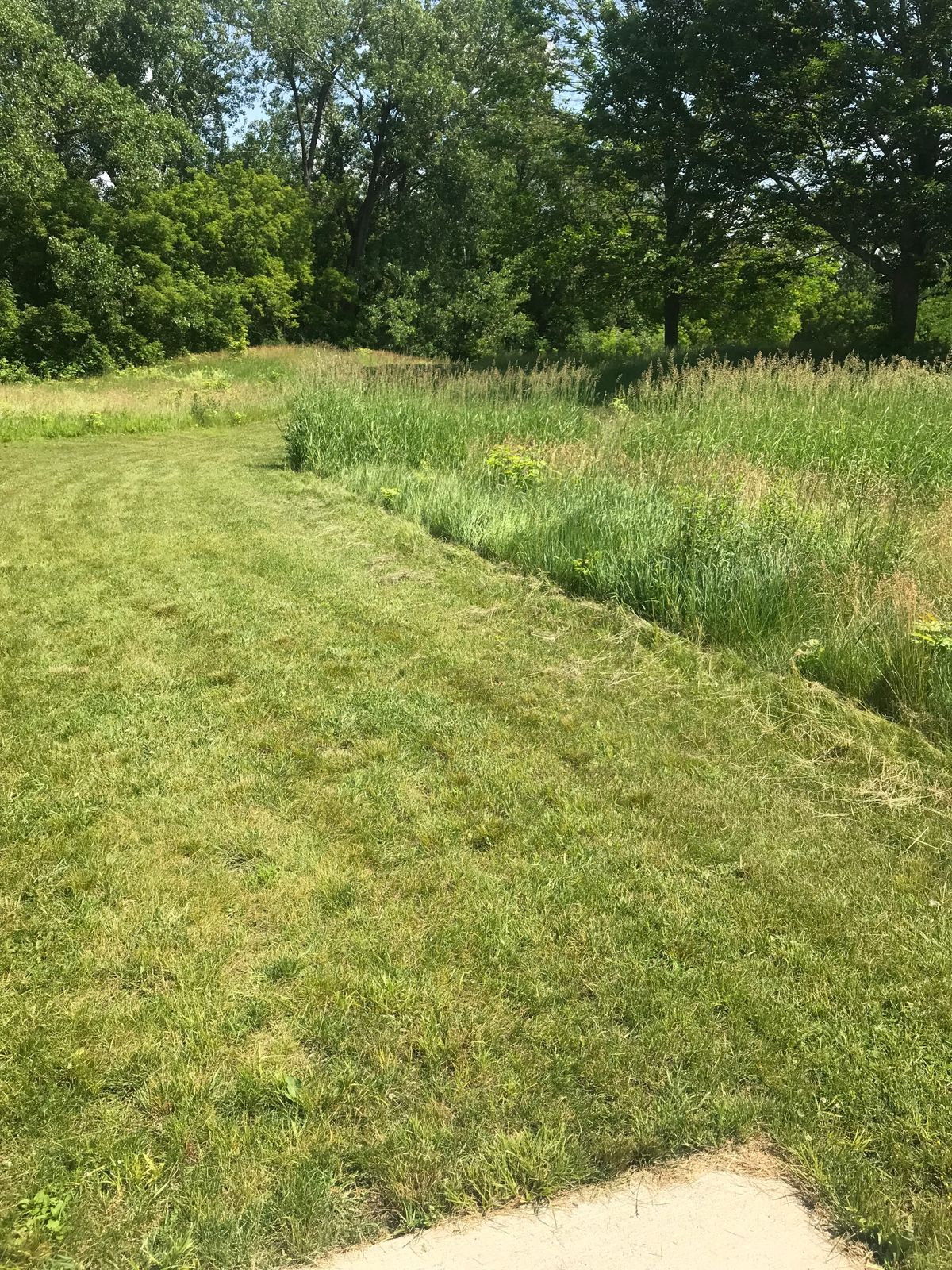 Hole 2 - basket is down after hill