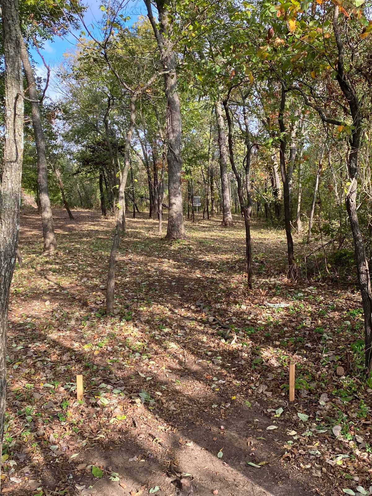Hole 6 Pad
