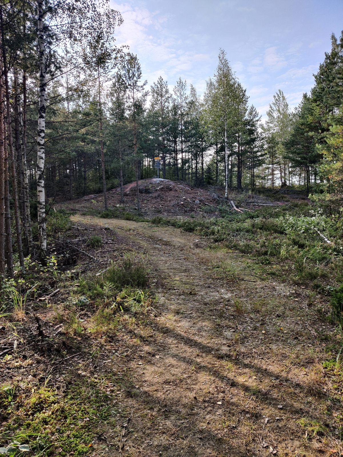 Kori paikallaan uudella 17 väylällä.