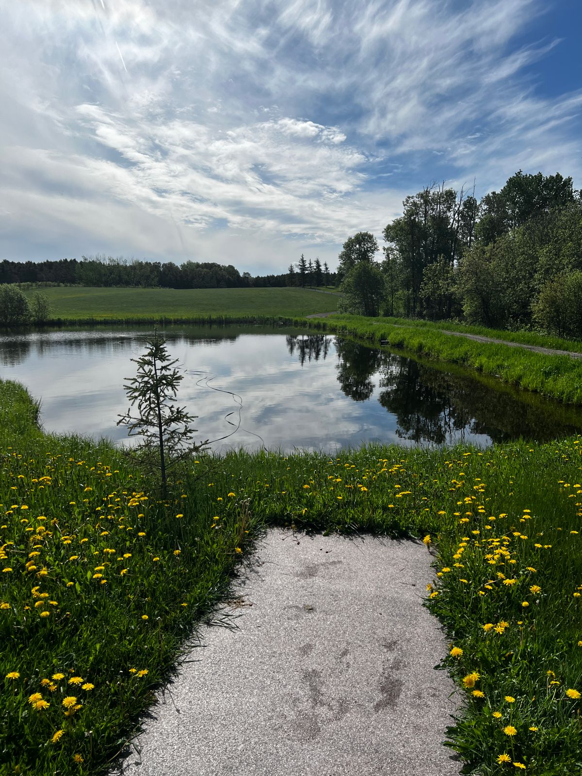Trees to the right are all a bog, and you can’t recover a disc thrown in them. RIP Valkyrie