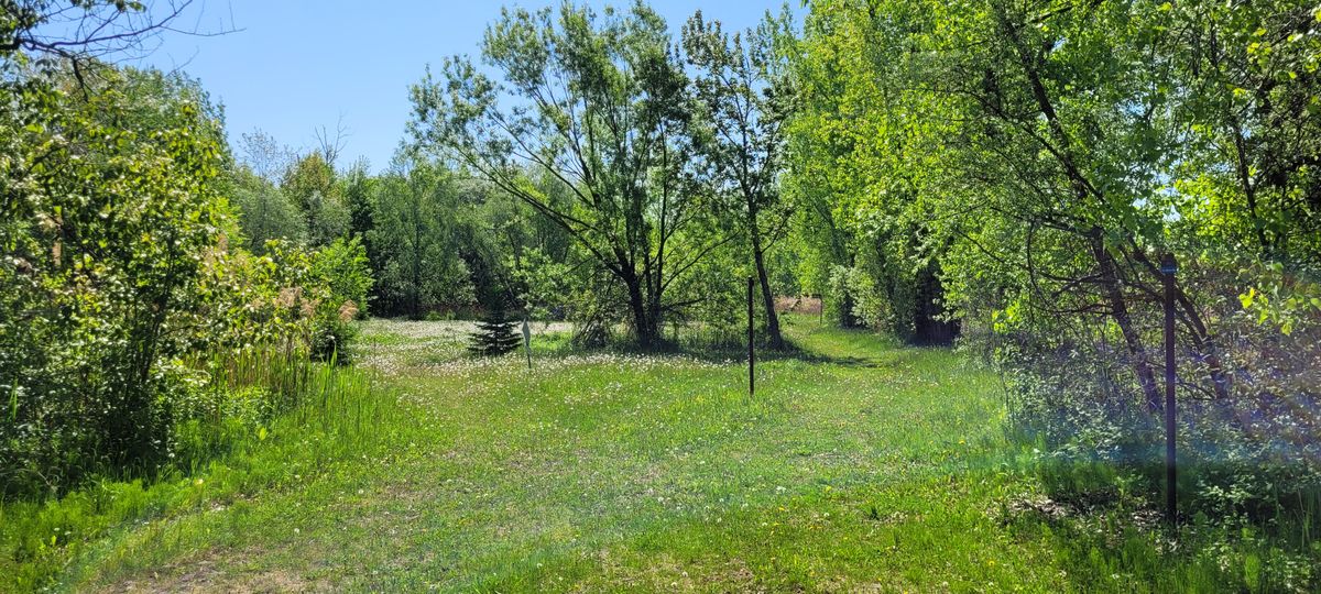 Fairway 13
