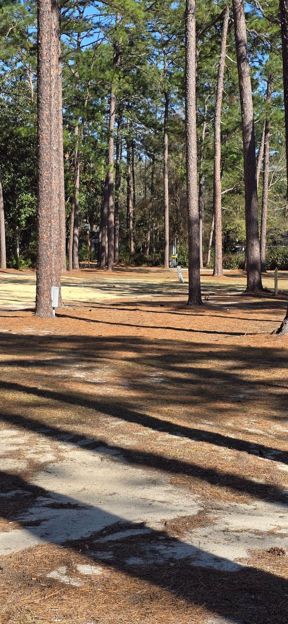 From hole 5 short pad