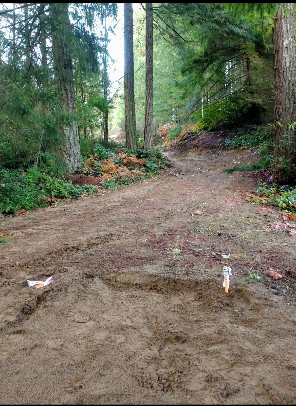 Hole #2