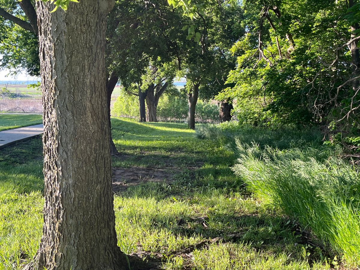 Hole #6 from the teebox. Downhill tunnel shot. Trouble on the right and long.