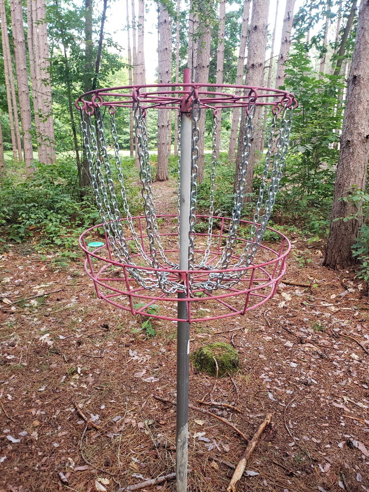 The basket on 6