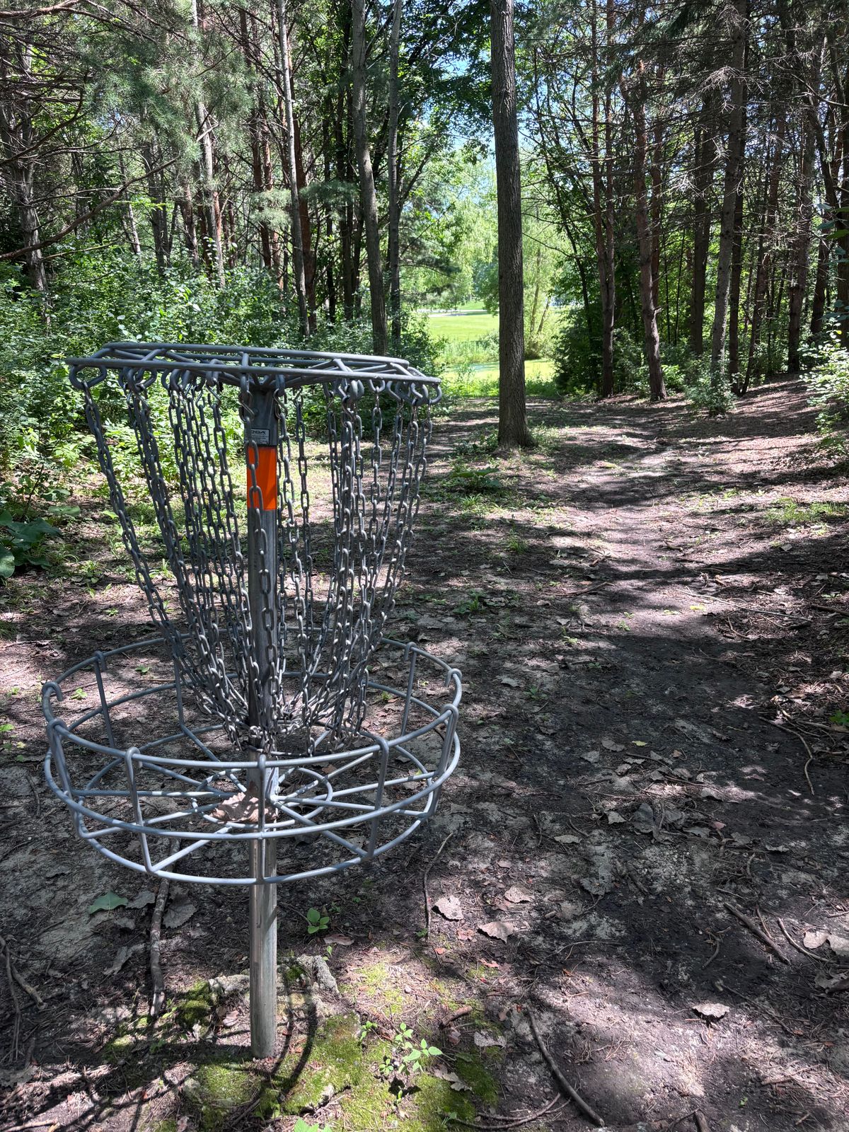 Hole 9 looking back at tee.