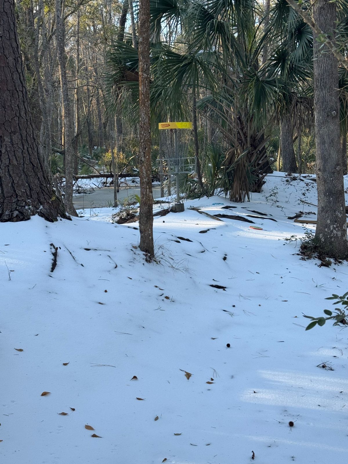 1/22/25