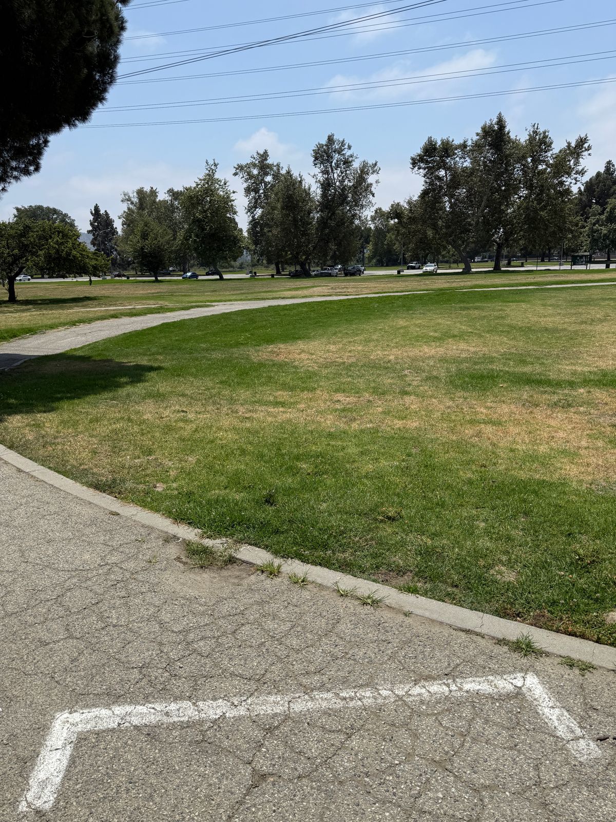 Hole 18 Tee