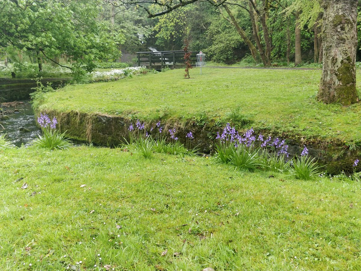 Hole 11 UUC Arboretum