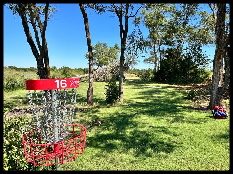 16 basket looking at Tee