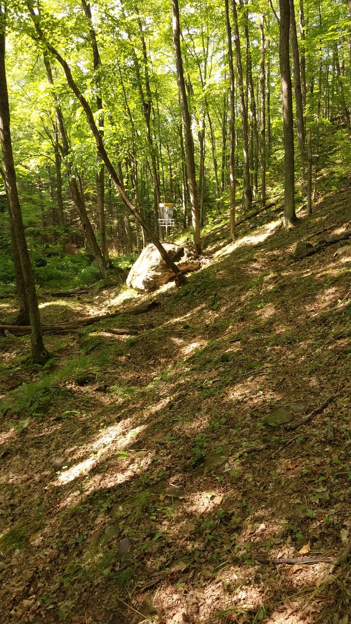 Blueberry Bluff