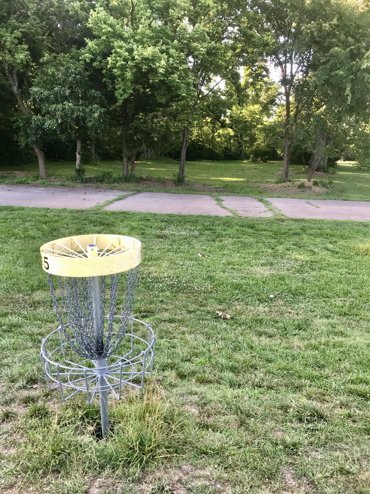 Hole 5 Basket to Tee (B)