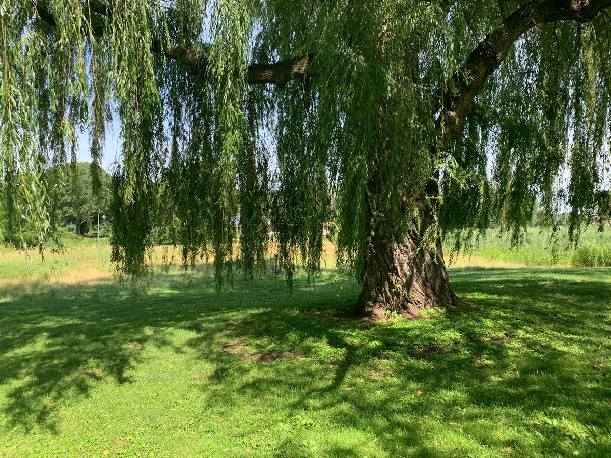 Hole 9
