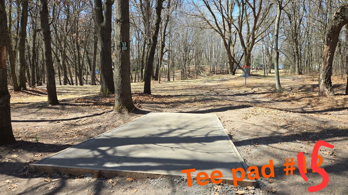 Tee pad 15
