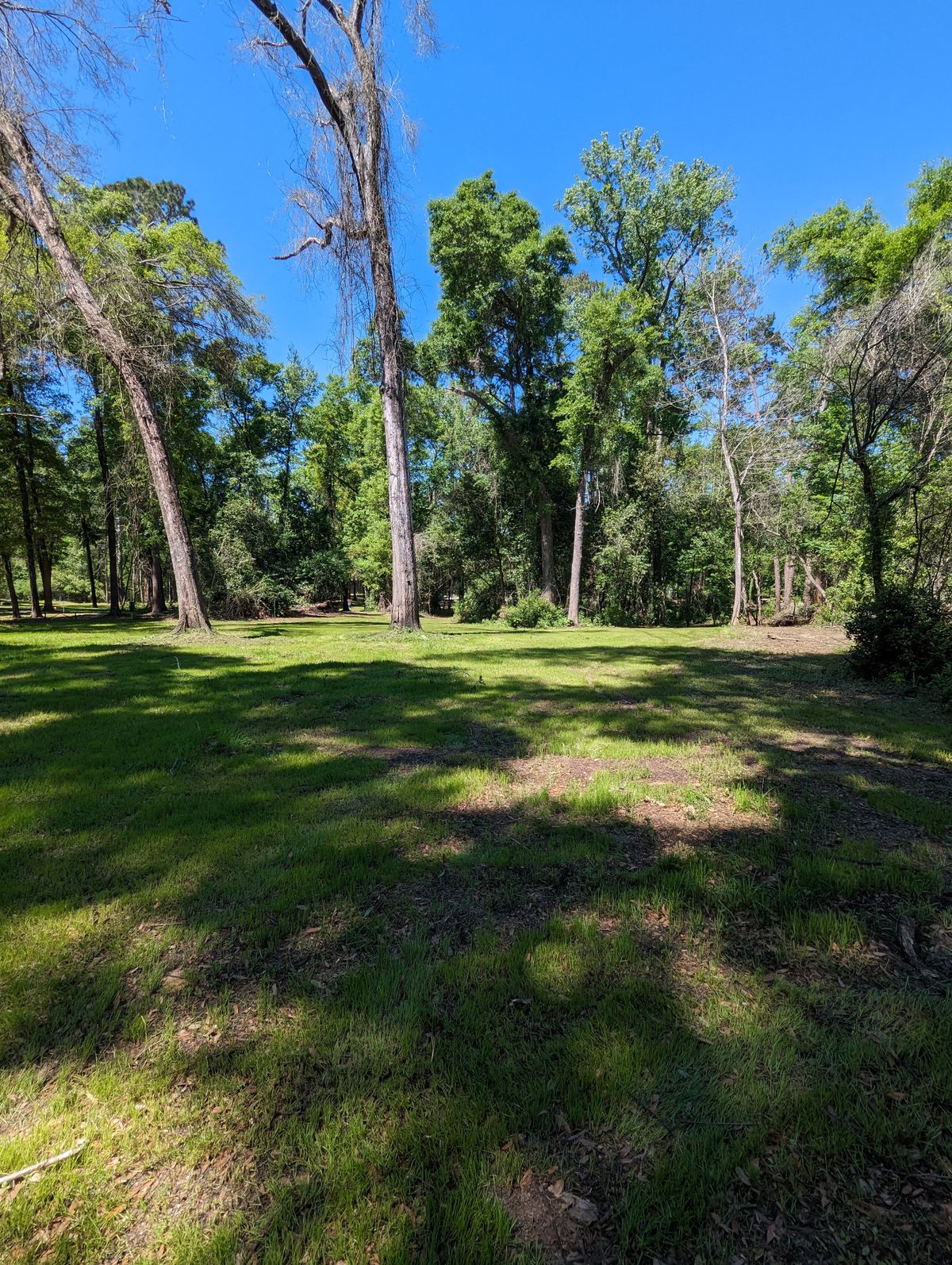 Hole 7 Fairway