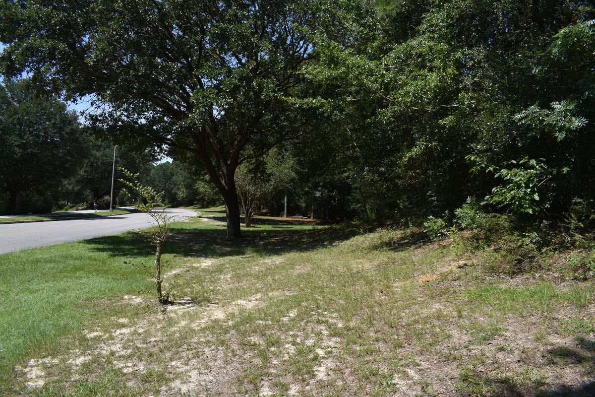 Hole 16’s Fairway