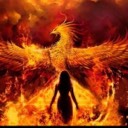 User avatar image