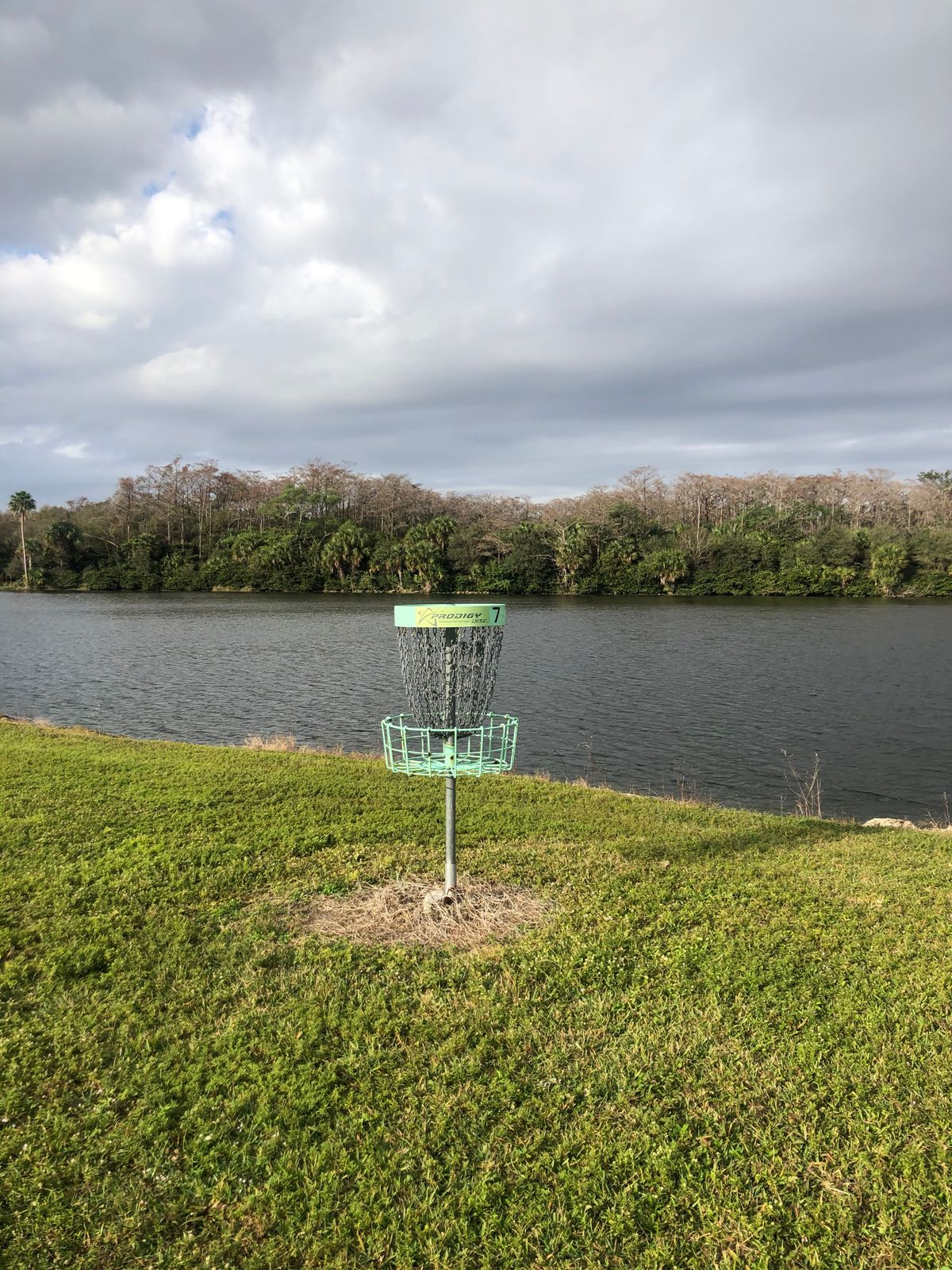 Hole 8 basket