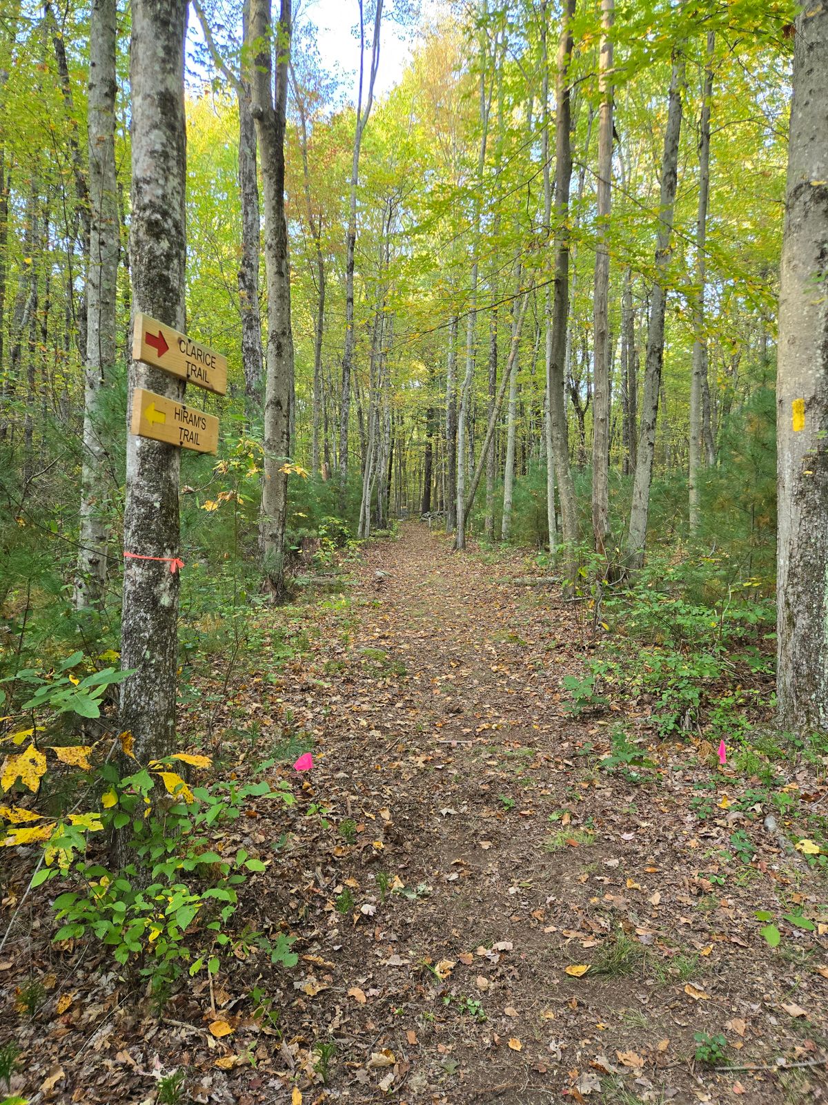 Hole 9- Temp course