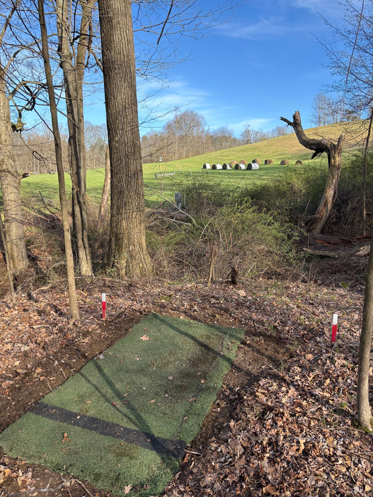 Hole 8 shorts.