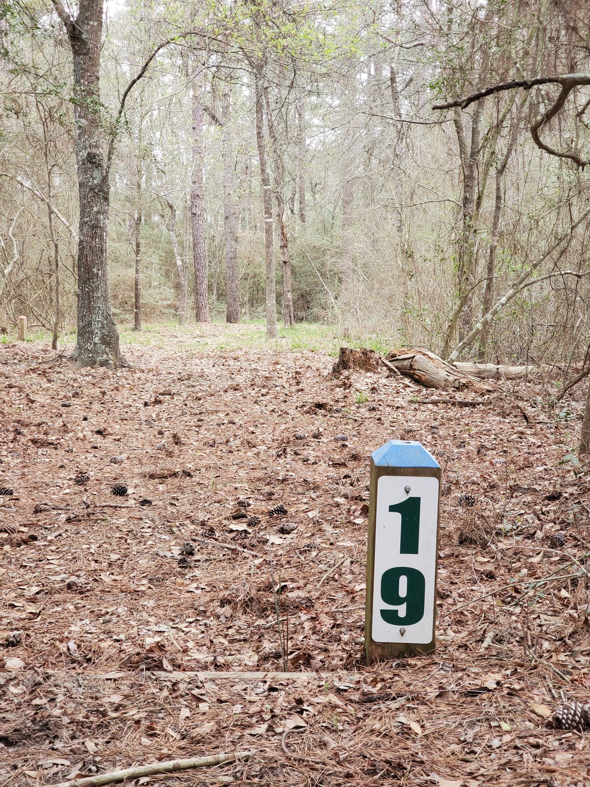 Hole 19 blue tee