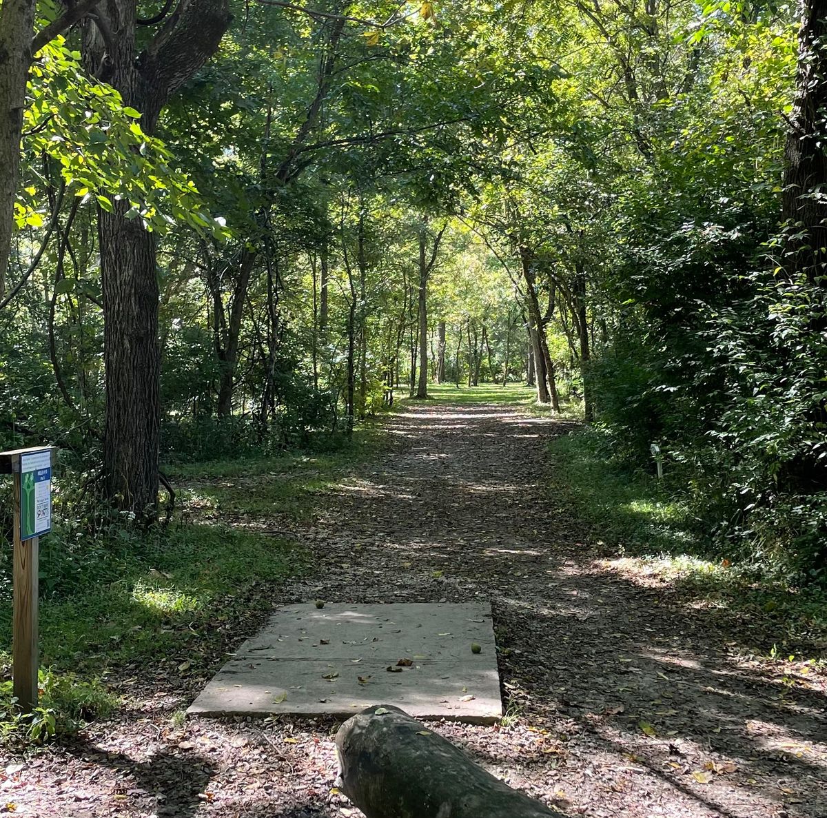 Hole 15 Blue