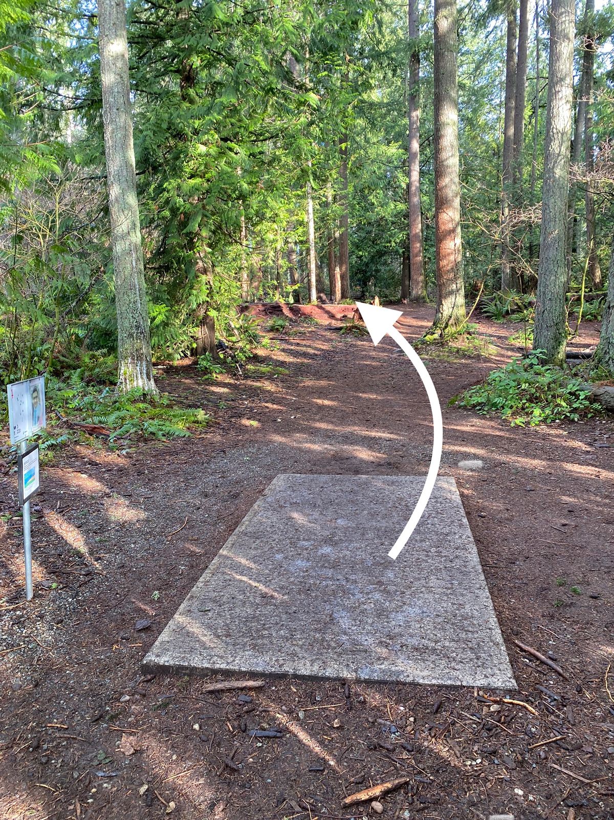 Hole 4