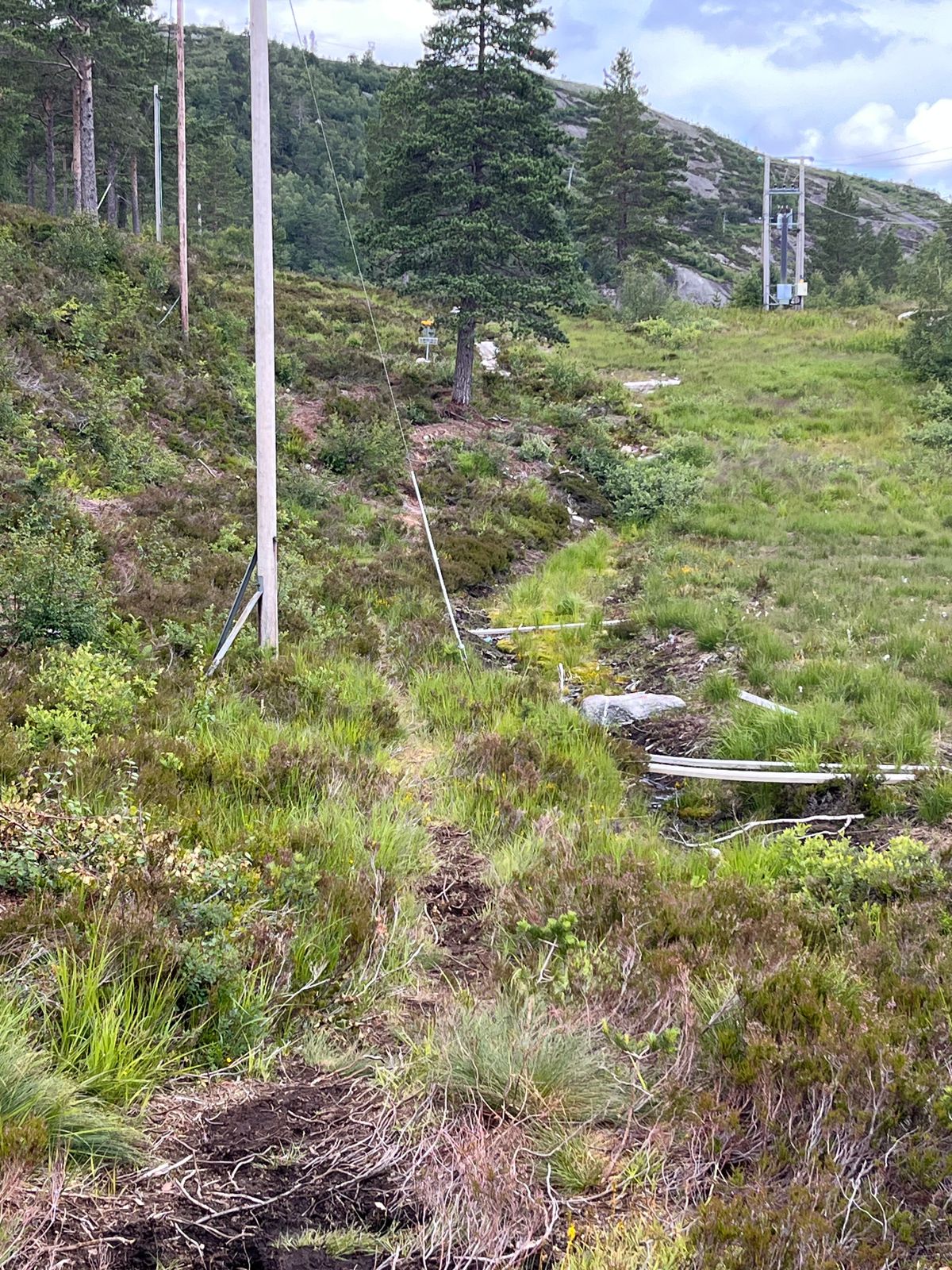 Hole 7