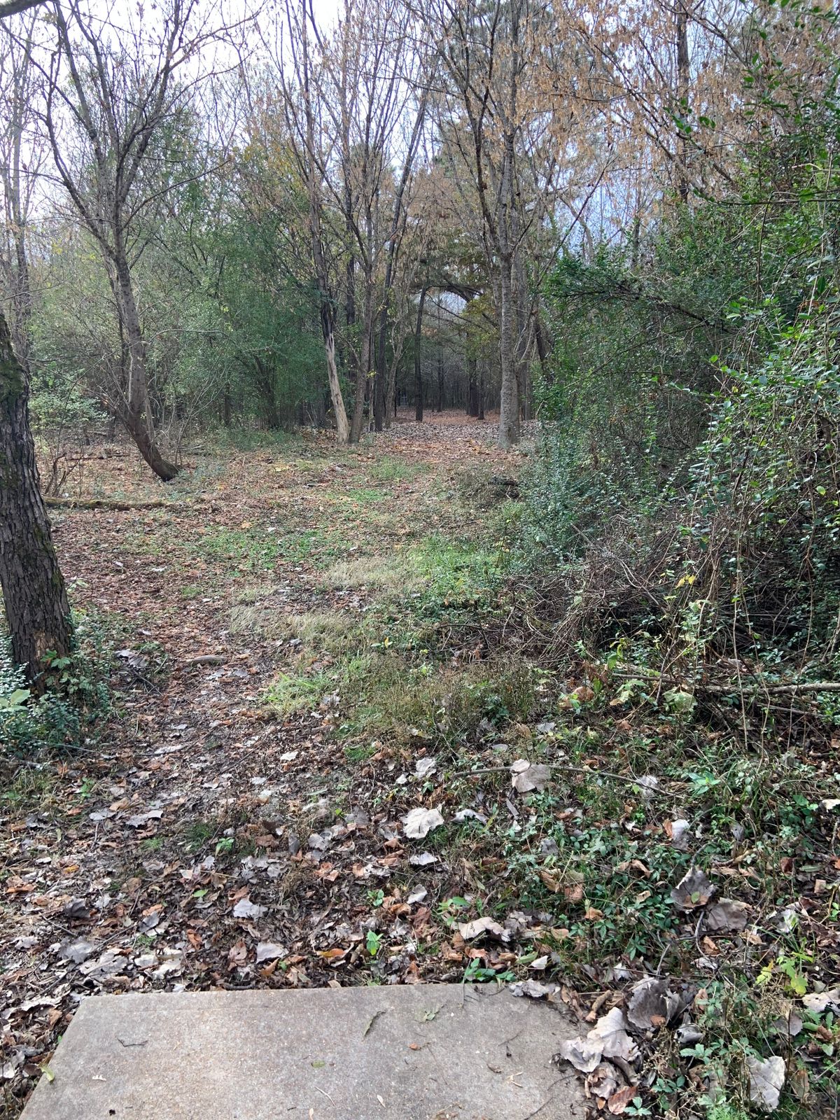 Hole 6