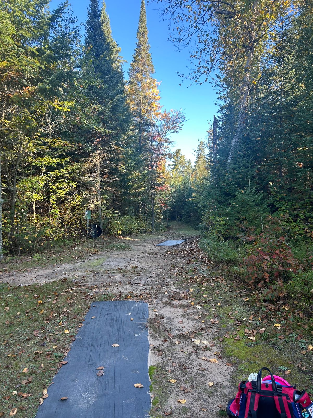 Hole 5 tees and fairway