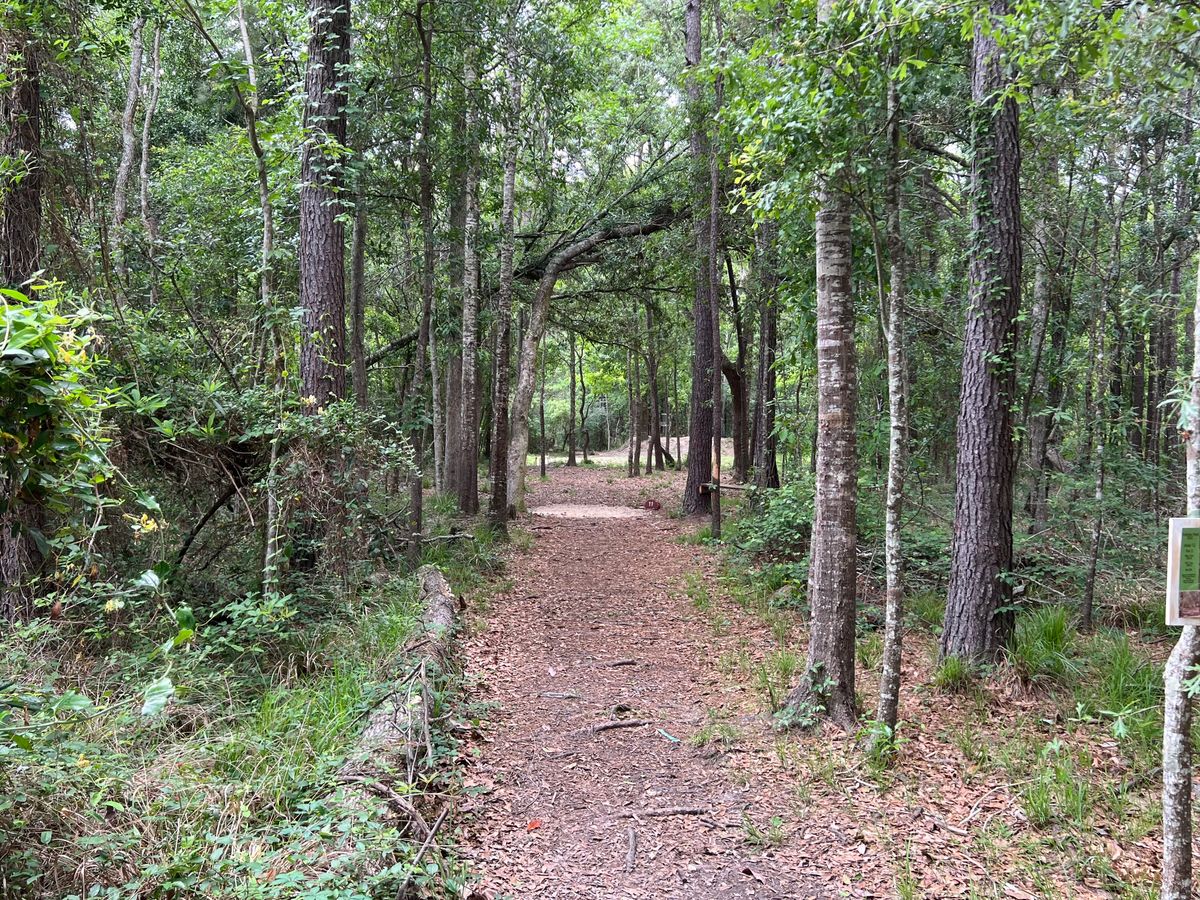 Hole 11 Blue