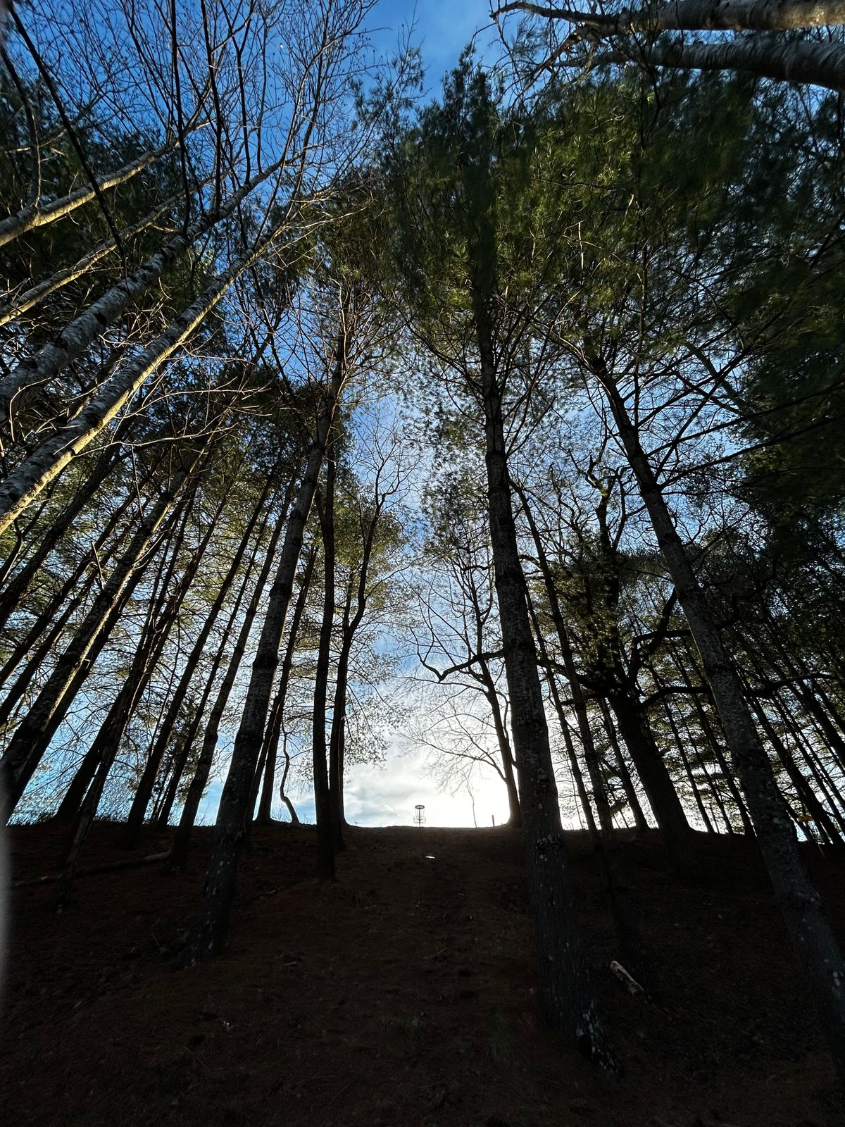 Hole #7 looking up to the B basket