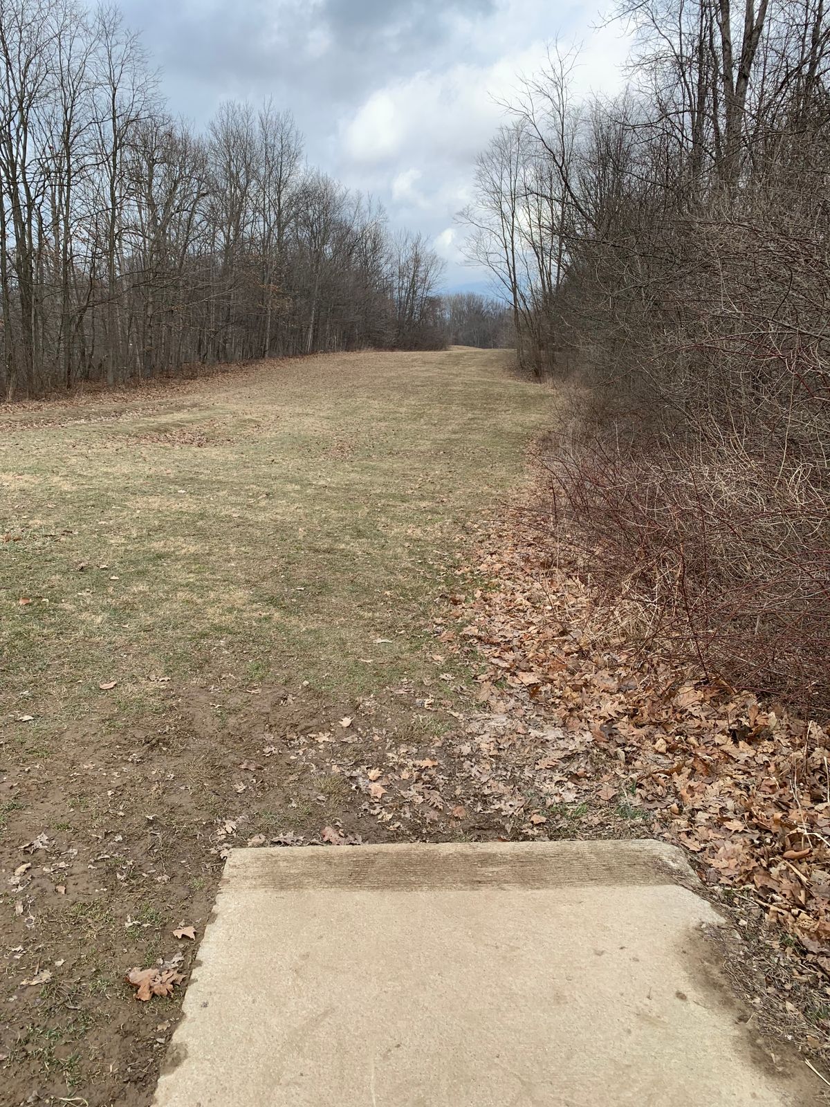 Hole 5 Tee