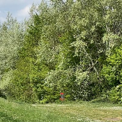 Hole #4