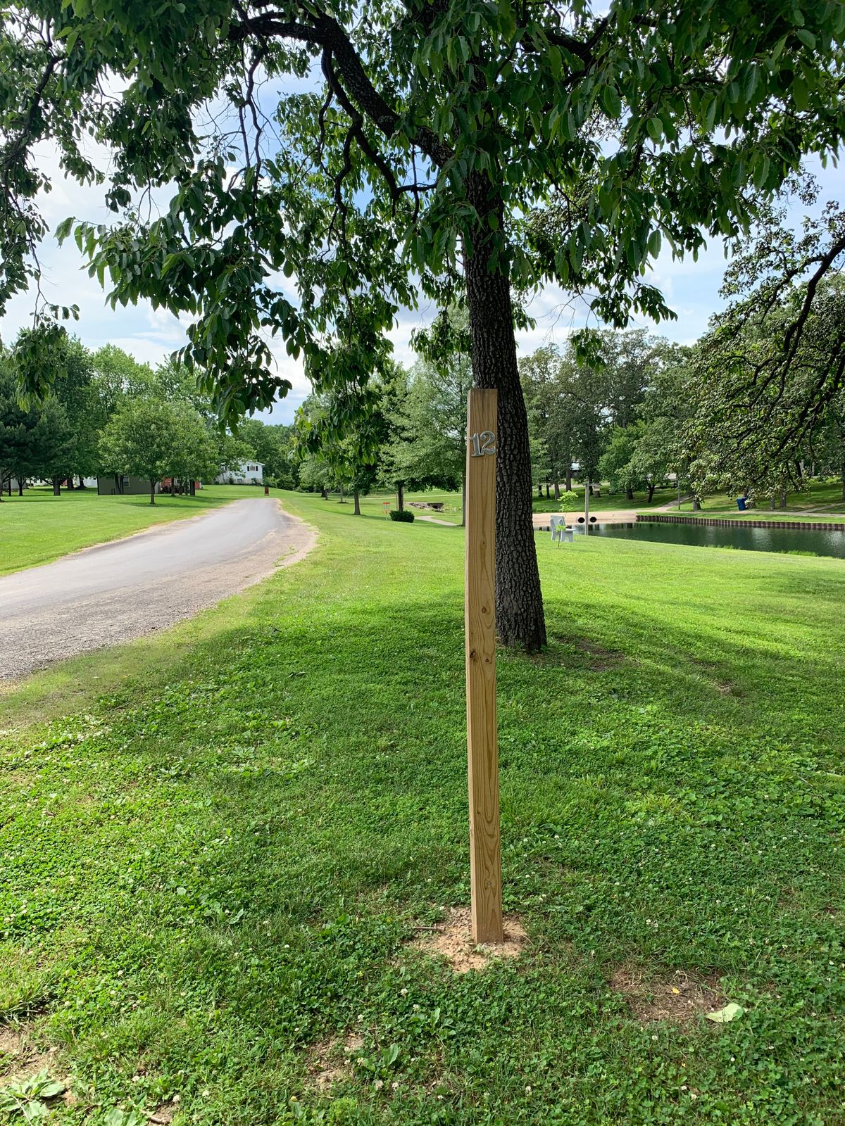 Hole 12 tee pad