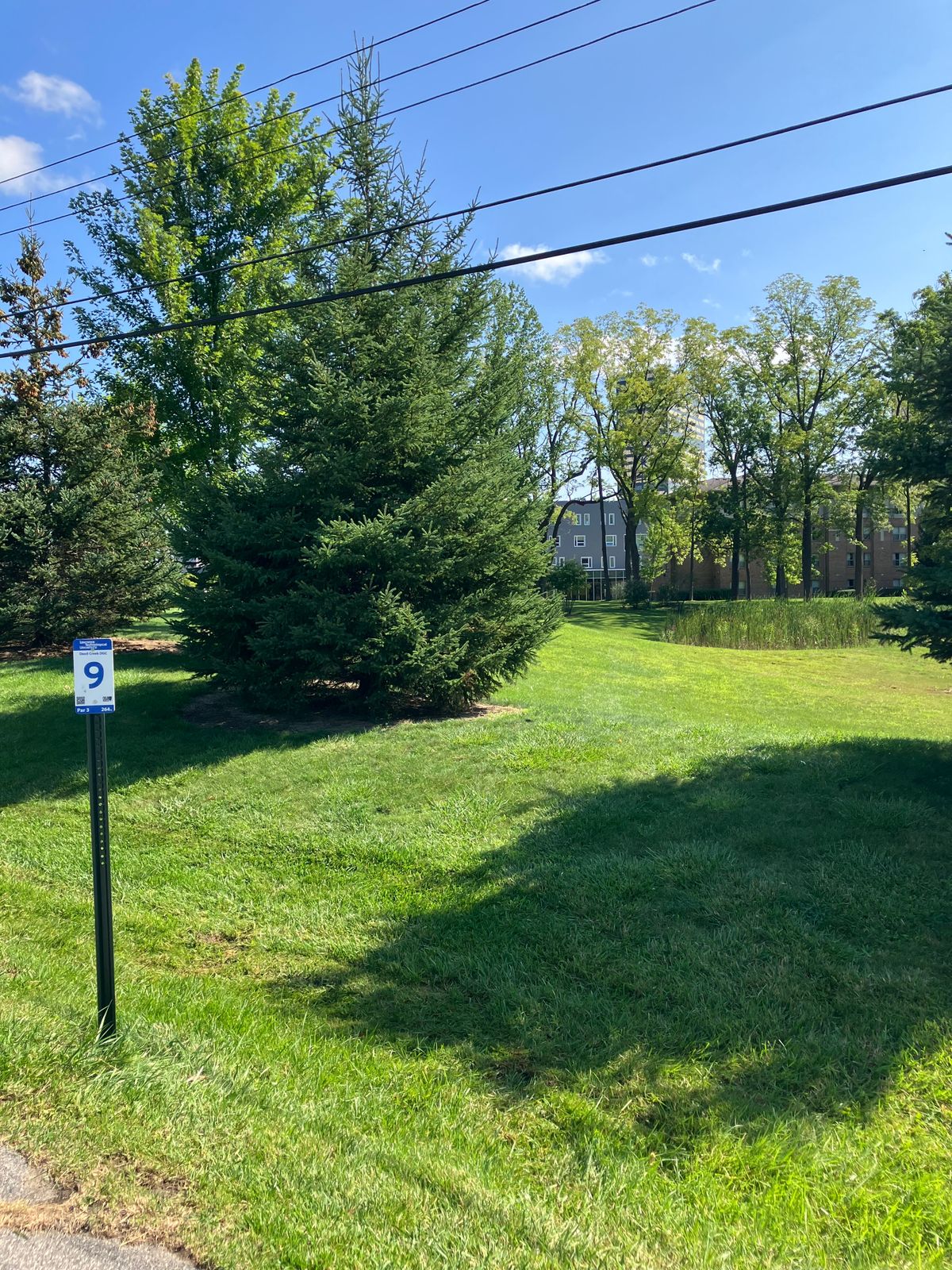 Hole 9