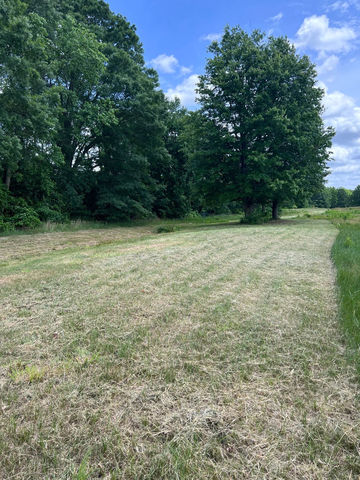 Hole 7 basket