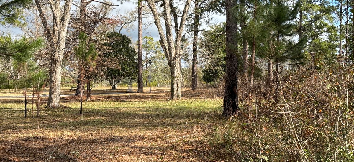 Hole 4 Blue