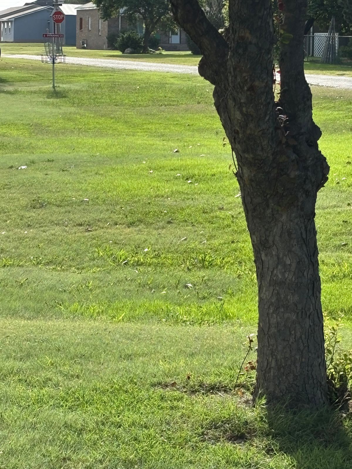 Hole 6