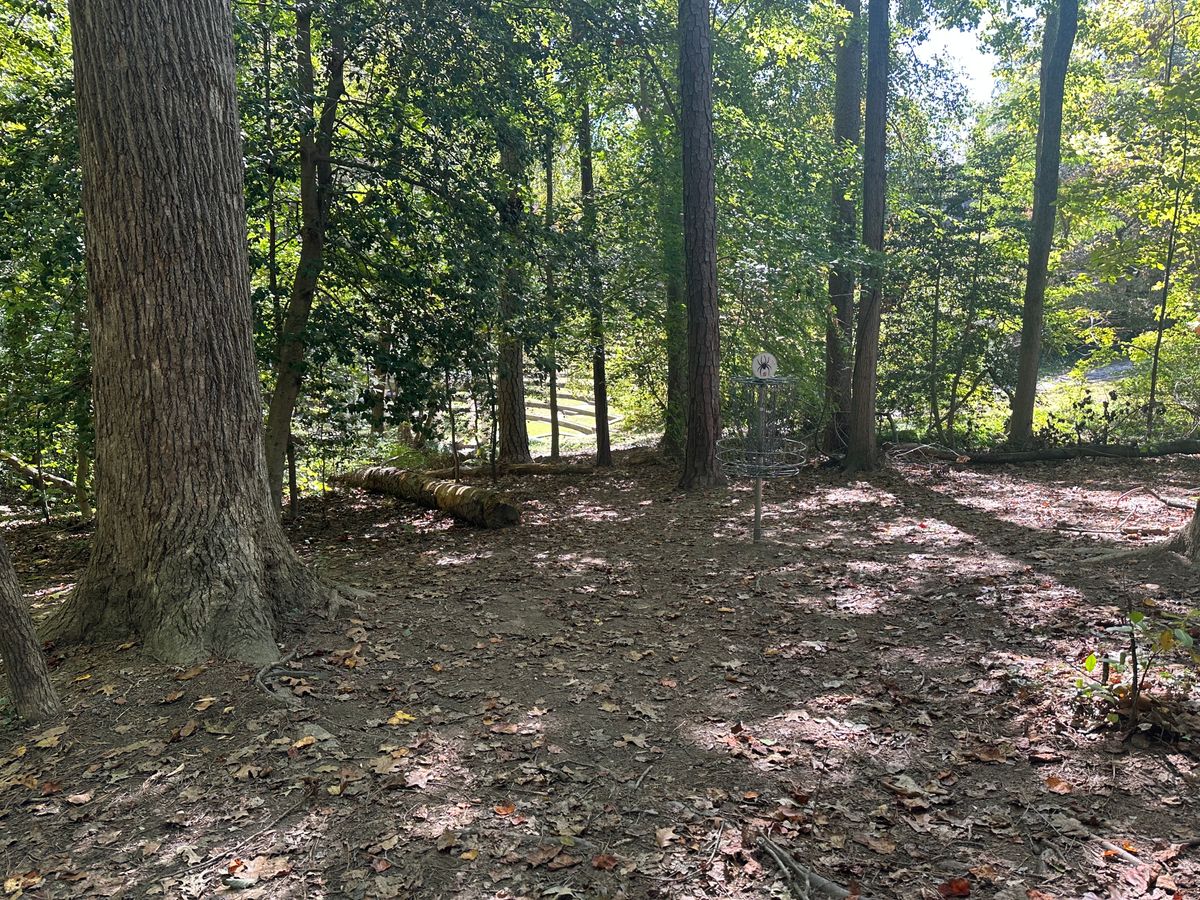 Hole #5 basket