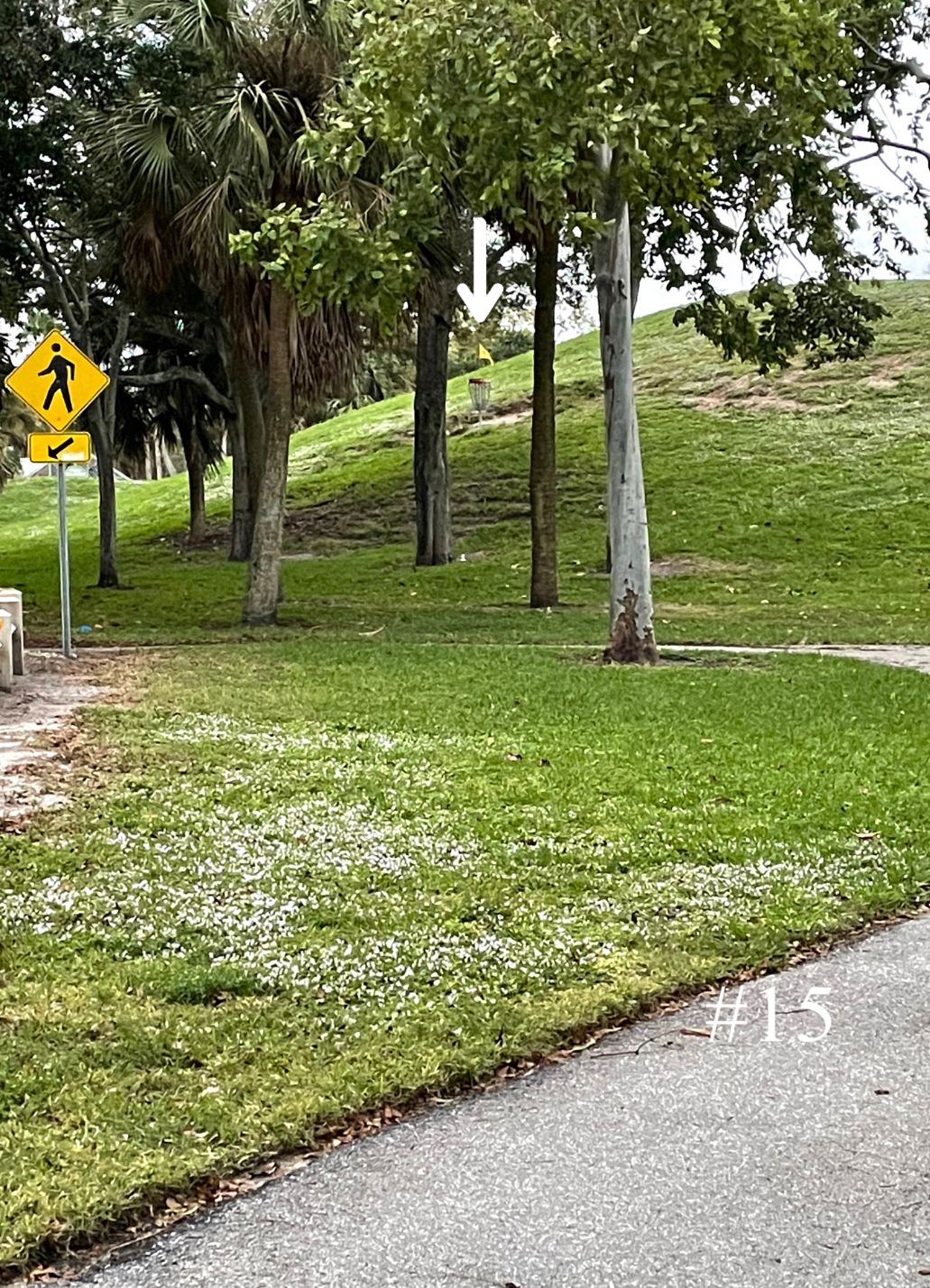 Hole 15, Short Tee