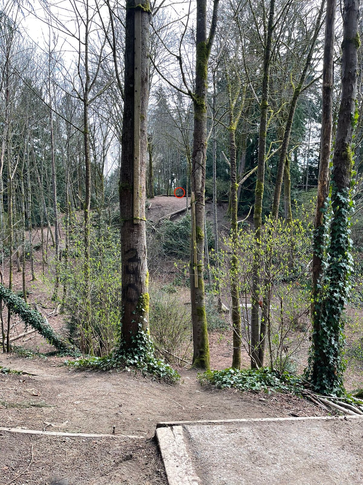 Hole 3 is a fun shot across the ravine.