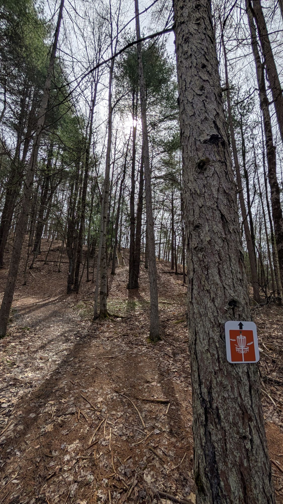 Up to Hole 15, it's up, up, up