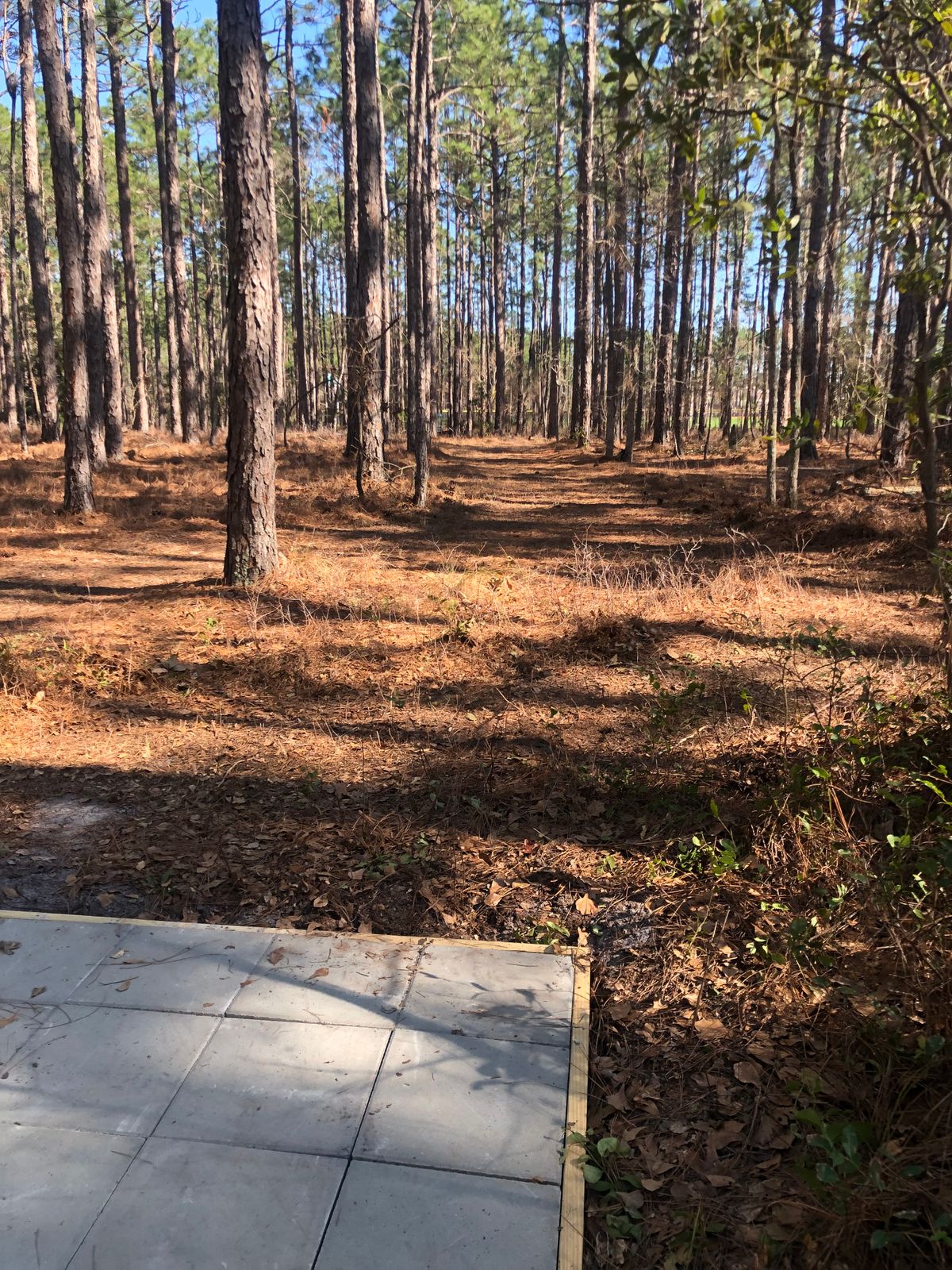 Hole 4. Basket slightly left.