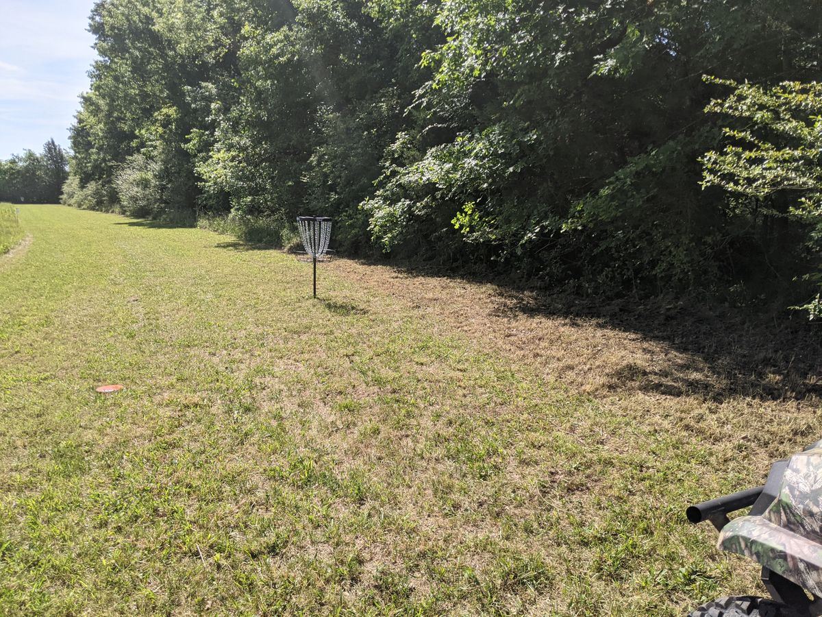 Hole 6 Green